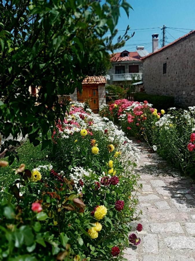 Voskopojë Bujtina Shkodrani B&B 외부 사진