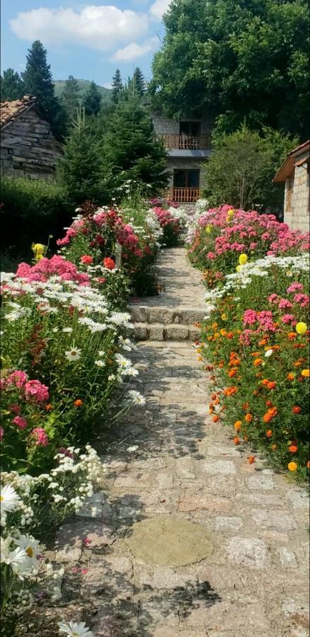 Voskopojë Bujtina Shkodrani B&B 외부 사진